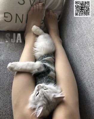 欧美女同视频-经典免费在线观看播放